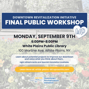 Downtown Revitalization Initiative